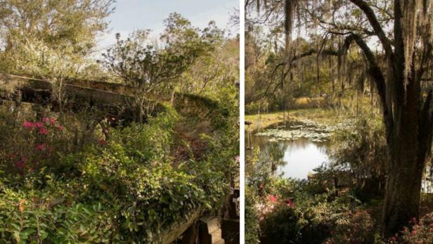 River Country: Disneys verlassener Wasserpark