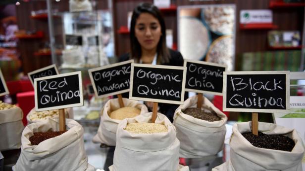 Wissenschafter entschlüsseln Genom von Quinoa
