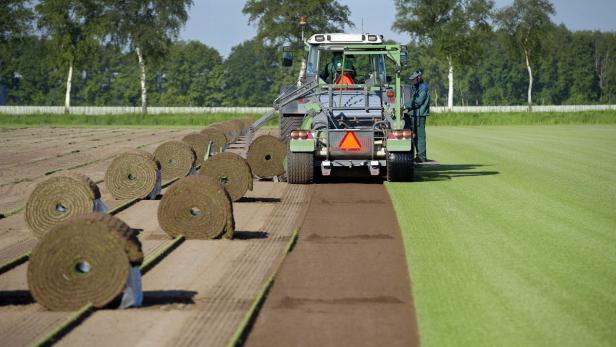 Zu trocken: Der Rasen brennt | kurier.at
