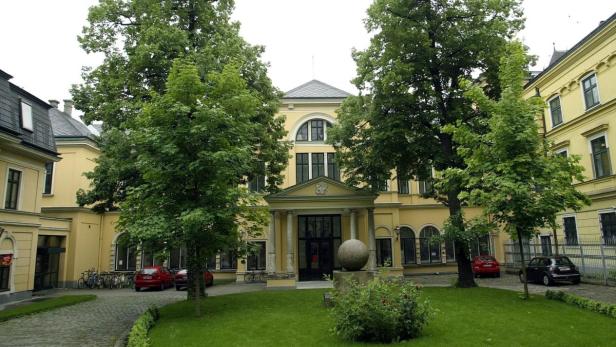 Haus in garten Reinhardt-Seminar: "Schlag ins Gesicht"