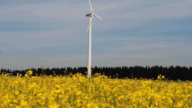 Initiative zündet Windkraft-Turbo