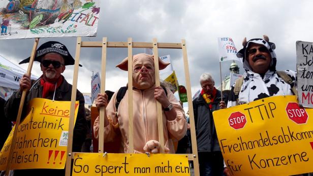 Demonstranten protestieren gegen TTIP, einer davon in einem Schweinekostüm in einem Käfig.