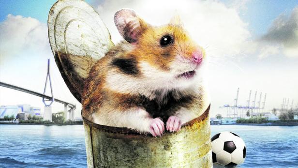 Hamster Raffi auf hoher See