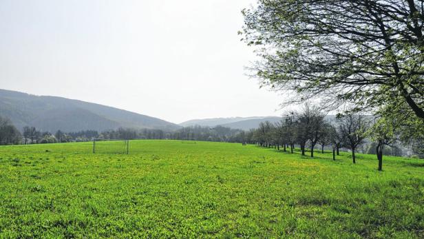 Auf der Feldwiese in Mauerbach soll ein Sportplatz errichtet werden