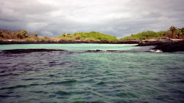 Hölle im Paradies: Die Galapagos Affäre