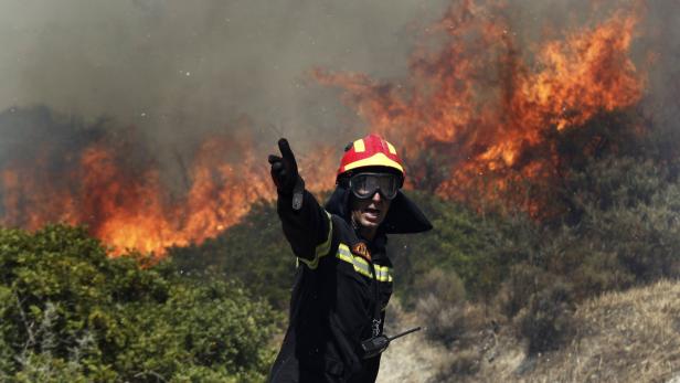 Ein Feuerwehrmann steht vor einem Waldbrand und deutet mit dem Finger in eine Richtung.