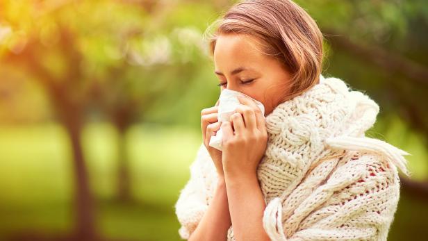 Die Pollen fliegen bereits.