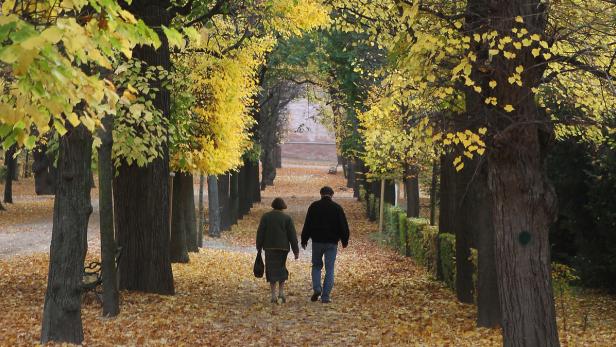 Ein Paar geht einen von Bäumen gesäumten Weg entlang, der mit Herbstlaub bedeckt ist.