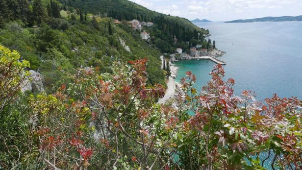 Daheim in Dalmatien: Türkisfarben das Meer im windstillen, auch sonst stillen Hafen Trstenos