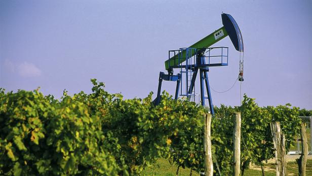 An zwölf Standorten will die OMV im Weinviertel nach Öl bohren