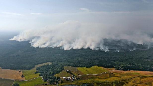Ein Waldbrand erzeugt eine große Rauchwolke über einem Waldgebiet.