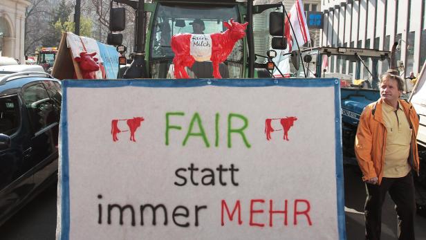 Milchbauern protestieren in Wien gegen die sinkenden Milchpreise.