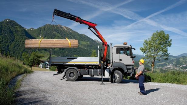Ein Kranwagen hebt einen Stapel Holz vor einer Bergkulisse an.