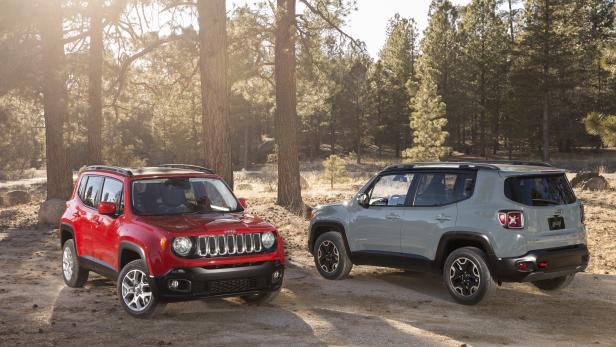 Zwei Jeep Renegade-Fahrzeuge stehen auf einem Waldweg.