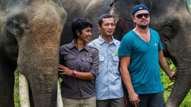 Leonardo DiCaprio posiert mit zwei Mitarbeitern und zwei Elefanten.