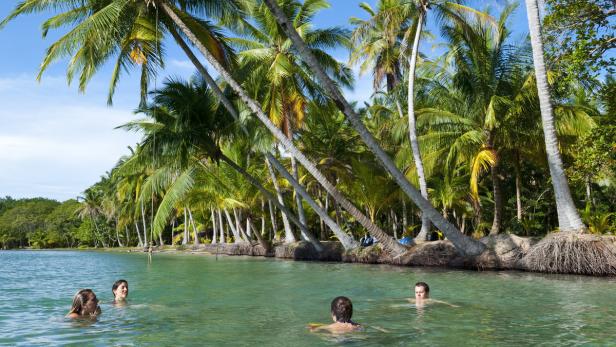 Baden lässt es sich auf der Insel Bocas Del Toro.