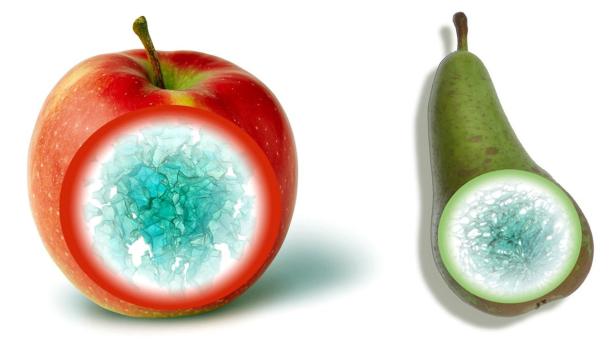 Forscher vergleichen Äpfel mit Birnen - beide atme Beim Apfel-Typ sammelt sich das Fett um die Taille, beim Birnen-Typ um die Hüften.