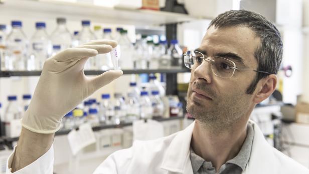 Riesenerfolg für Forscher der Universität für Bodenkultur in Wien wie den Zellbiologen Richard Strasser: Sie haben die Grundlagen für einen neuen Wirkstoff gegen Ebola erarbeitet.