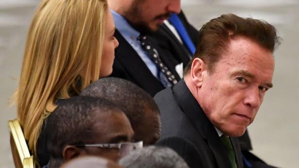 Trainingsgeräte: Schwarzenegger über Auktion verärgert