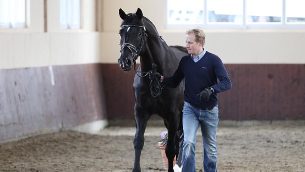Ein Mann führt ein schwarzes Pferd in einer Reithalle.