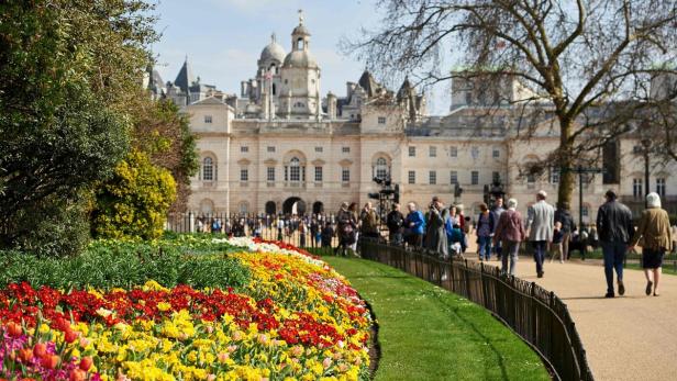 Ein Blumenbeet mit gelben und roten Blumen vor dem Horse Guards Building in London.