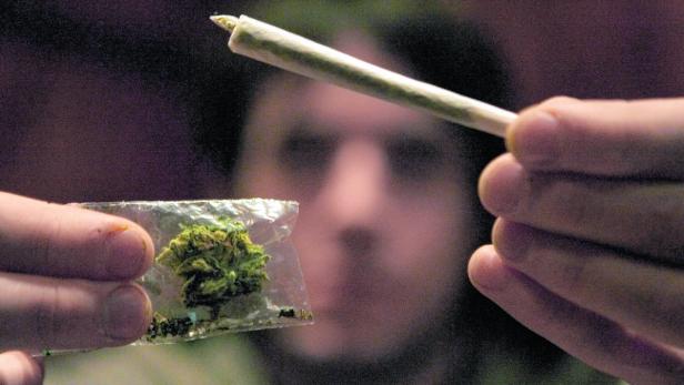 Cannabis ist nach wie vor die populärste Droge: 9,3 Mrd. Euro wurden 2013 dafür ausgegeben