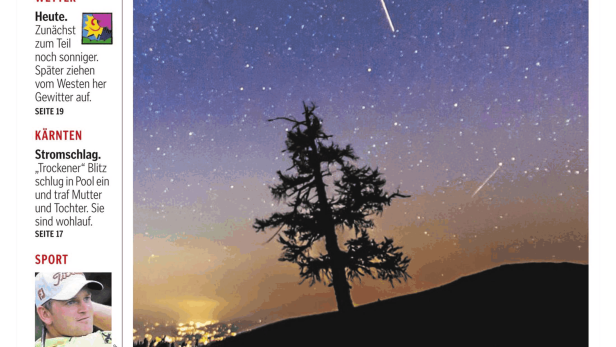 Nachthimmel mit Sternschnuppen über einer Baum-Silhouette.