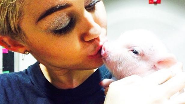 Eine Frau küsst ein kleines rosa Schwein.