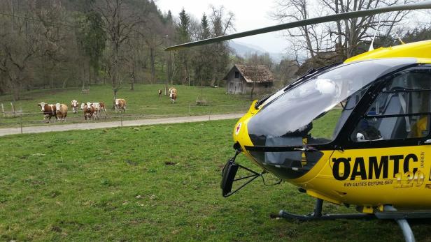 Ein sechsjähriger Bub ist am Mittwochnachmittag be… Der Vorfall ereignete sich auf einem Bauernhof bei Glanegg (Bezirk Feldkirchen).
