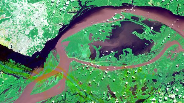 Eine Satellitenansicht des Amazonas-Flusses und des umliegenden Regenwaldes.