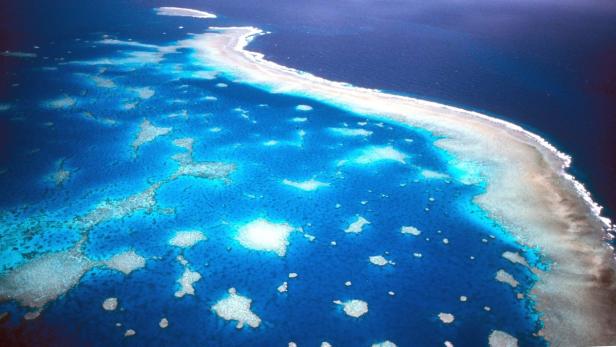 Luftaufnahme des Great Barrier Riffs vor der Küste Australiens: in Report der Boston Consulting Group und der Umweltorganisation WWF beziffert die Vermögenswerte der Weltmeere mit 24 Billionen US-Dollar und warnt vor Bedrohungen.