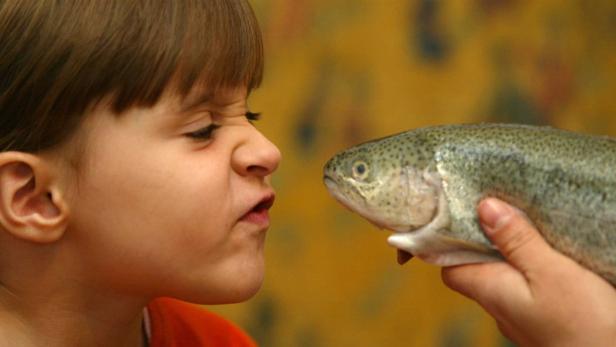 5 Tipps, woran Sie frischen Fisch erkennen