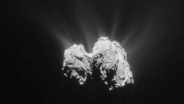 Der Komet 67P/Tschurjumow-Gerasimenko im Weltraum, mit Gas- und Staubfontänen.