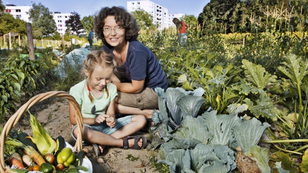 Aktuell gibt es acht Garten-Standorte in Linz, Leonding und Steyr.