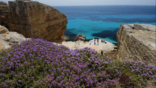 Blick auf eine Küstenlandschaft mit türkisfarbenem Wasser und blühenden lila Blumen.