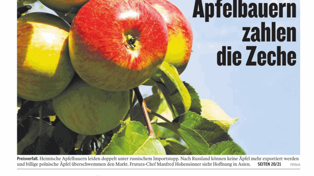 Mehrere Äpfel hängen an einem Baum.