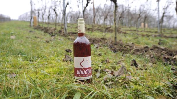 Zwei Lösungen lassen jede Uhudlersorte nun legal werden, neun Rebsorten sind in der Weinbauverordnung, die übrigen sollen als Obstwein gekeltert werden