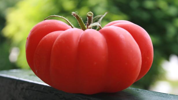 Grillakademie, Teil 7: Vegetarische Genüsse