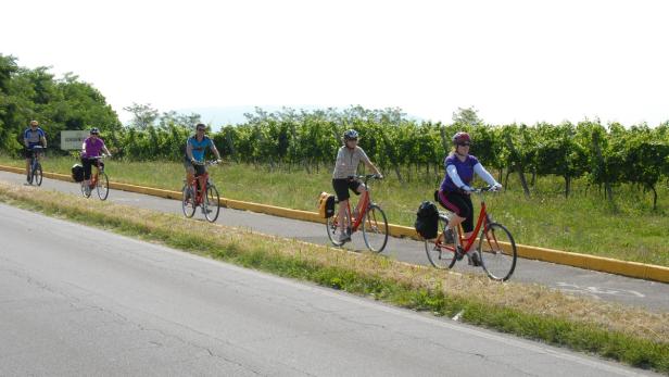 Eine Gruppe von Radfahrern fährt auf einer Straße entlang eines Weinbergs.