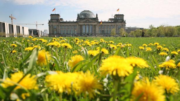 epa03198021 Dandelions bloom in front of the Reichstag in Berlin, Germany, 27 April 2012. EPA/STEPHANIE PILICK