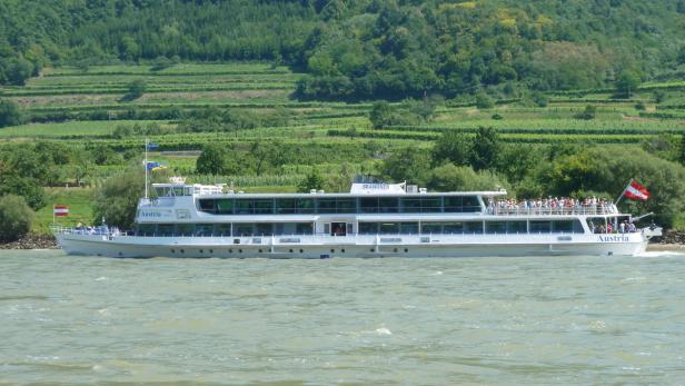 Ein Ausflugsschiff der Marke Brandner fährt auf der Donau, im Hintergrund Weinberge.
