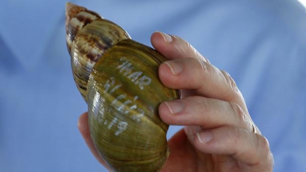 Putnam holds a shell as he speaks at a news confer
