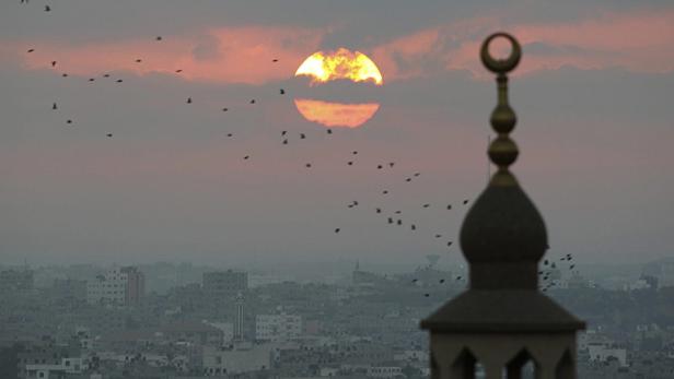 Birds fly during sunrise in Gaza