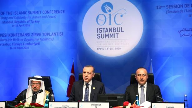 Mehr als 50 Regierungschefs waren beim OIC-Treffen in Istanbul.