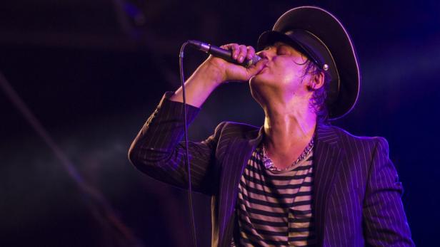 epa03781215 British singer Pete Doherty of UK band Babyshambles performs during a free concert organized by French radio station OUIFM in Paris, France, 08 July 2013. EPA/IAN LANGSDON