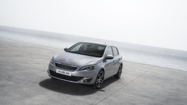 Ein silberner Peugeot 308 steht vor einer Küstenlandschaft.
