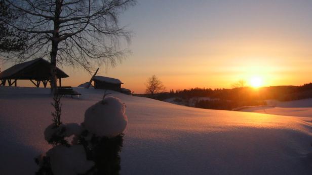 Mit Ausnahme vom Burgenland entwickelte sich die Zahl der Nächtigungen im Winter in allen Bundesländern positiv.