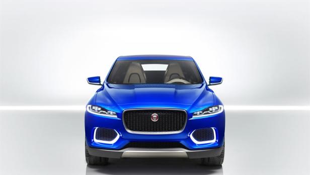 Ein blauer Jaguar, aufgenommen von vorne, vor einem weißen Hintergrund.