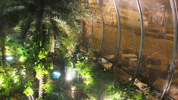 Ein Gewächshaus mit Palmen und tropischen Pflanzen, beleuchtet mit kleinen Lichtern.