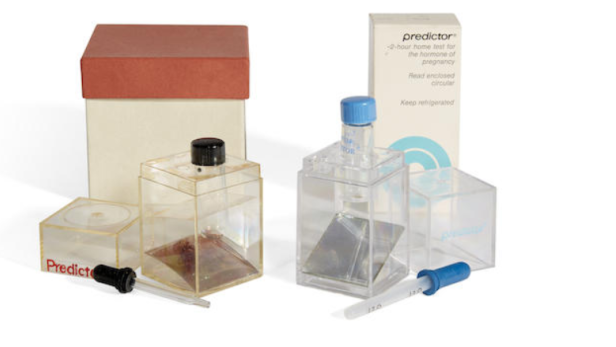 Zwei „Predictor“-Schwangerschaftstests mit Pipetten und Verpackung stehen auf einem weißen Hintergrund.